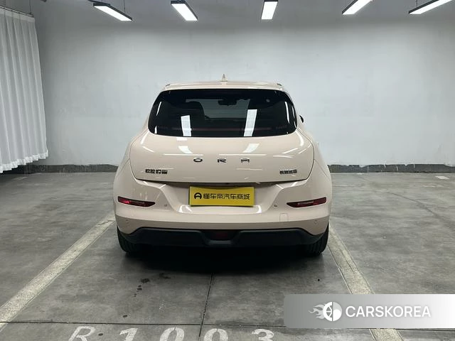 Euler Good cat id 3875987 из Китая 19