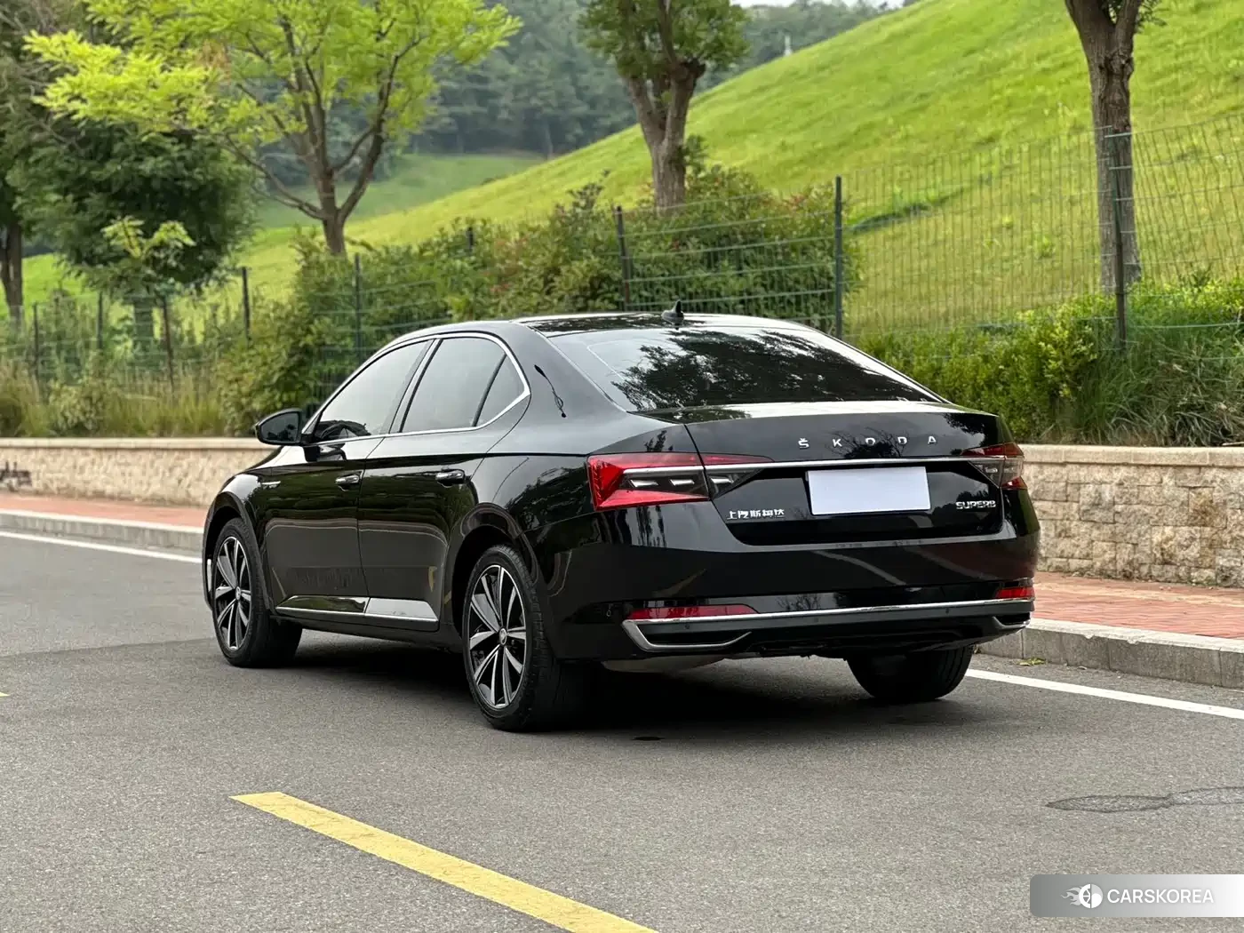 Skoda Speed pie id 4548242 из Китая 16
