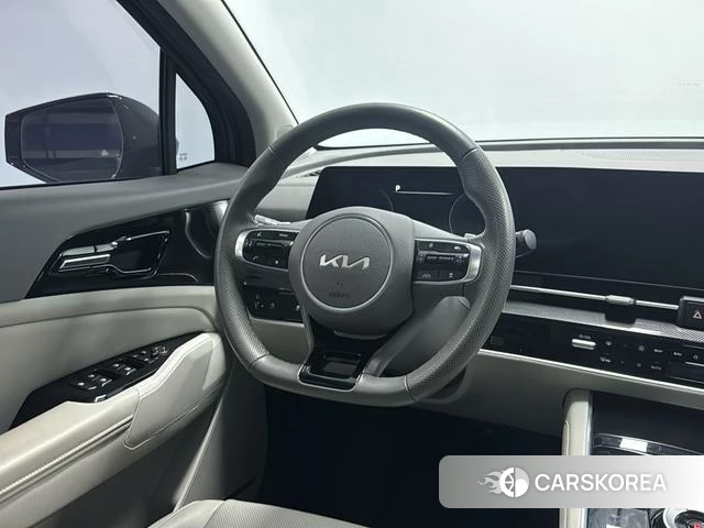 Kia Lion Platinum expands the world id 4277449 из Китая 19