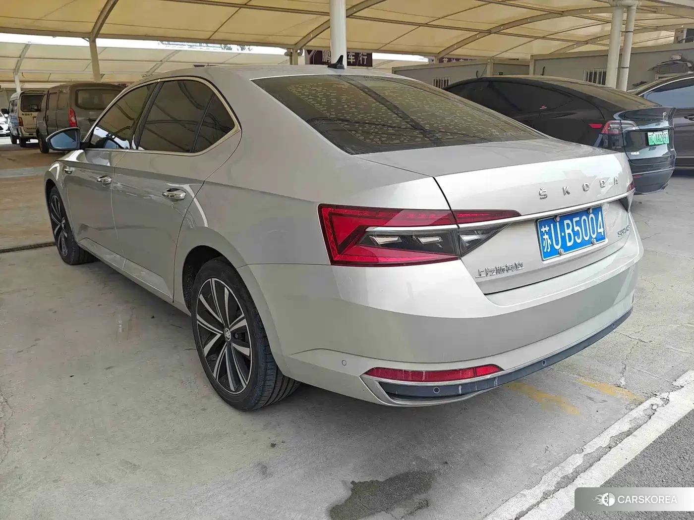 Skoda Speed pie id 4570581 из Китая 15