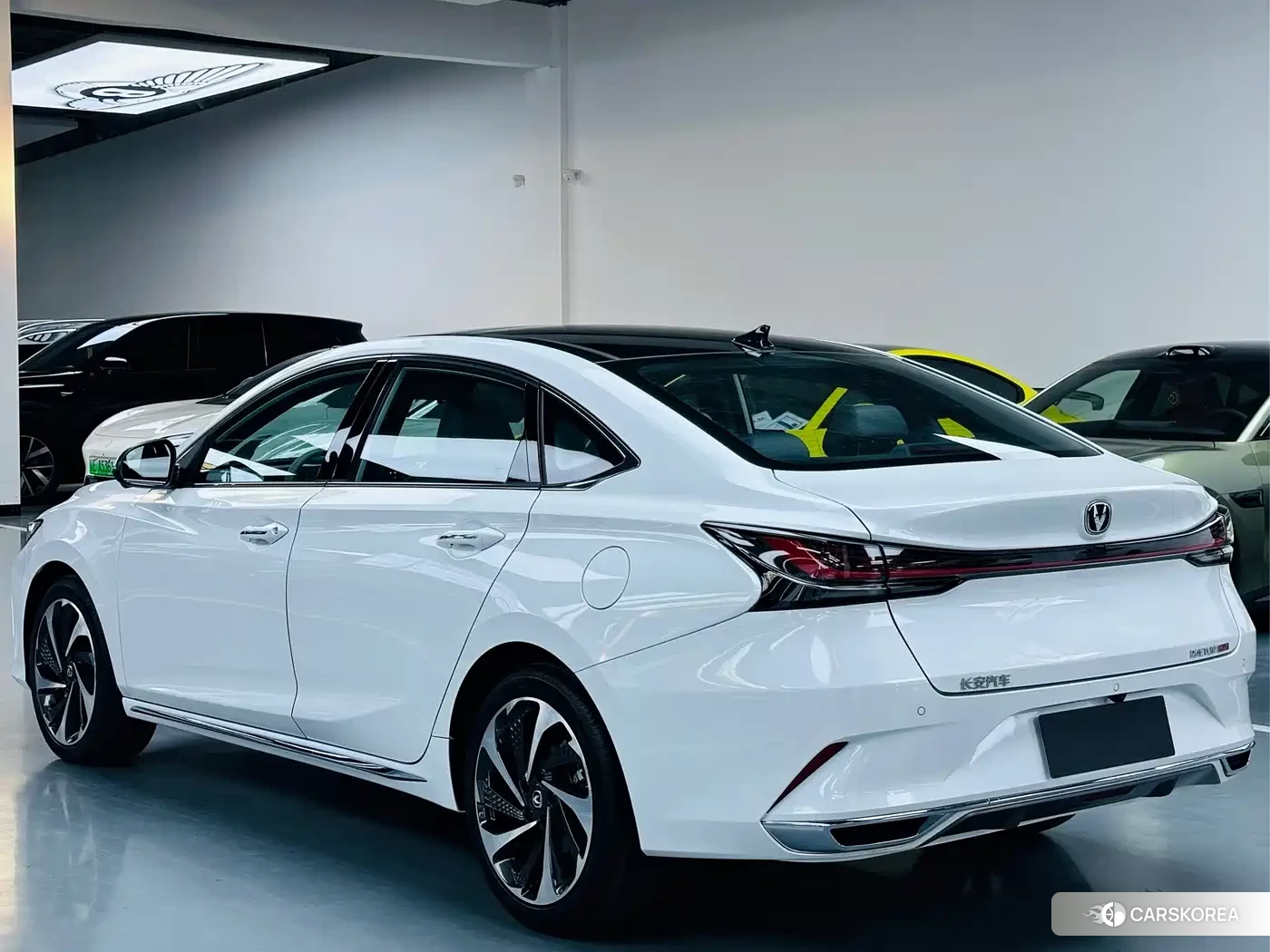Chang'an Ruicheng PLUS id 4578355 из Китая 14