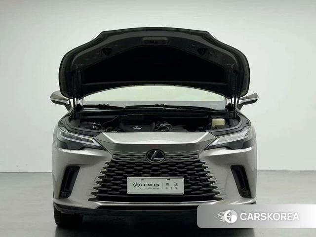 Lexus RX id 4264508 из Китая 17