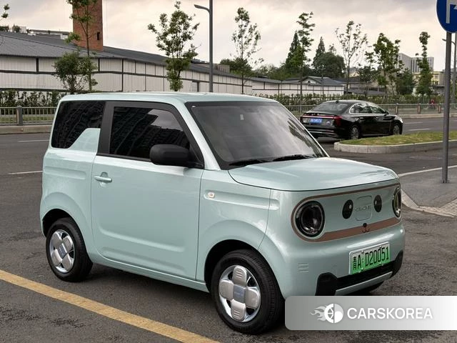 Geely Galaxy panda id 4254859 из Китая 17
