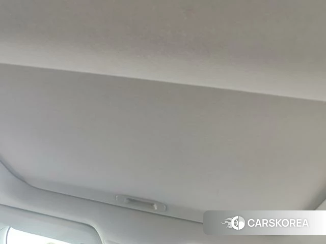 Toyota Asian lion id 4261027 из Китая 13