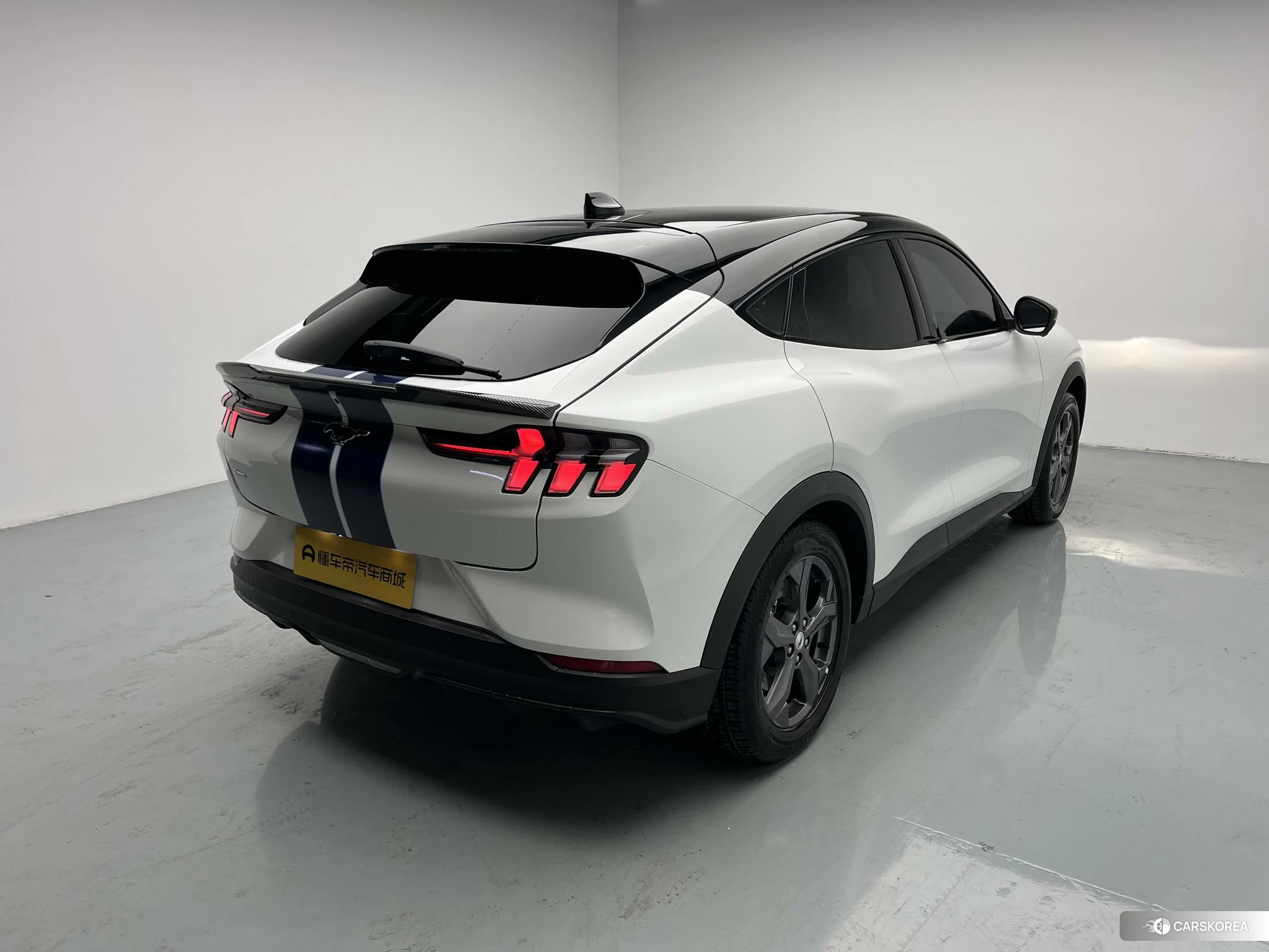 Ford Electric horse id 4461393 из Китая 19