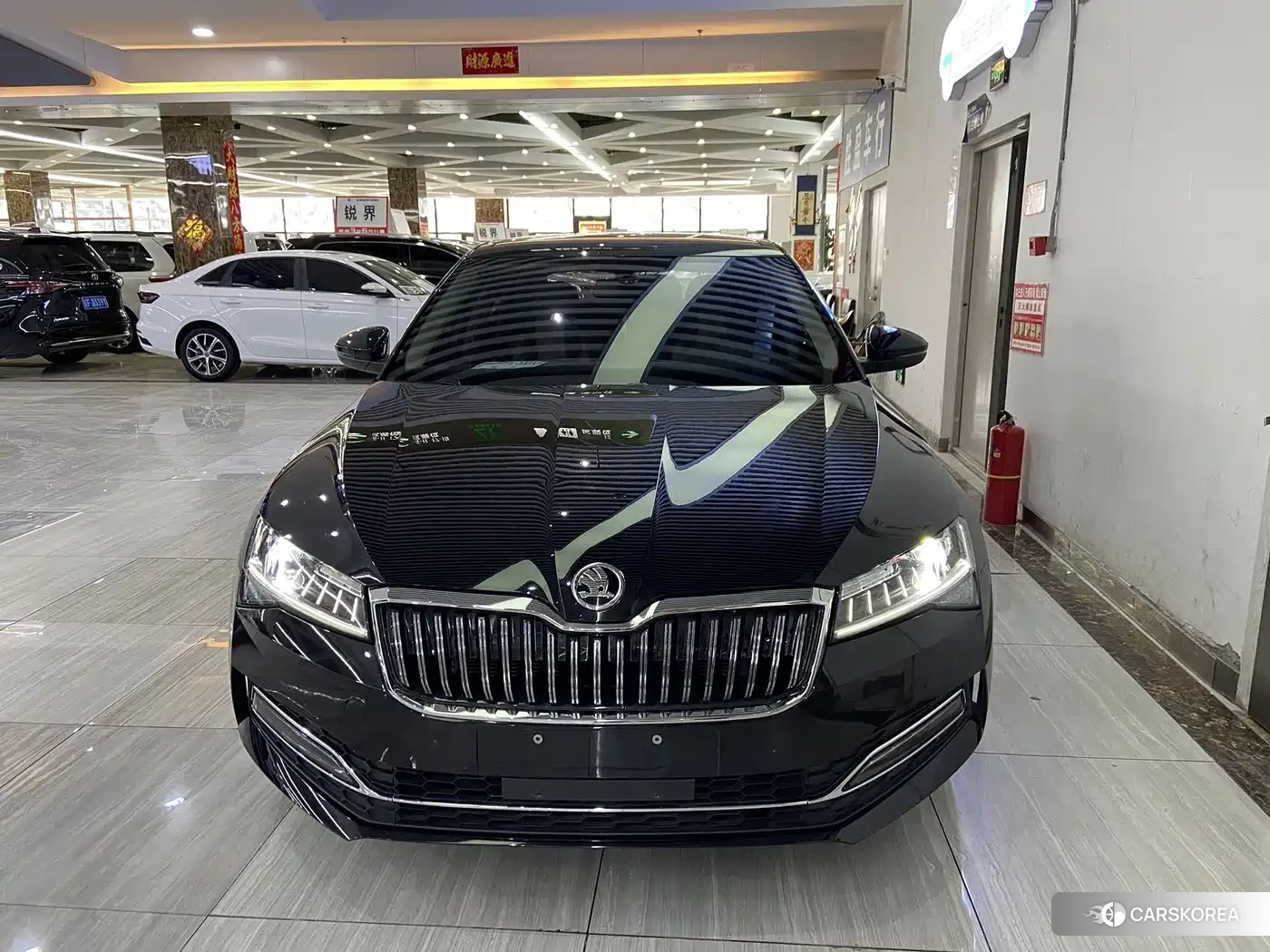 Skoda Speed pie id 4538750 из Китая 16