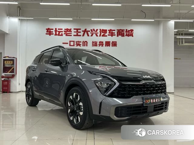 Kia Lion Platinum expands the world id 4262482 из Китая 10