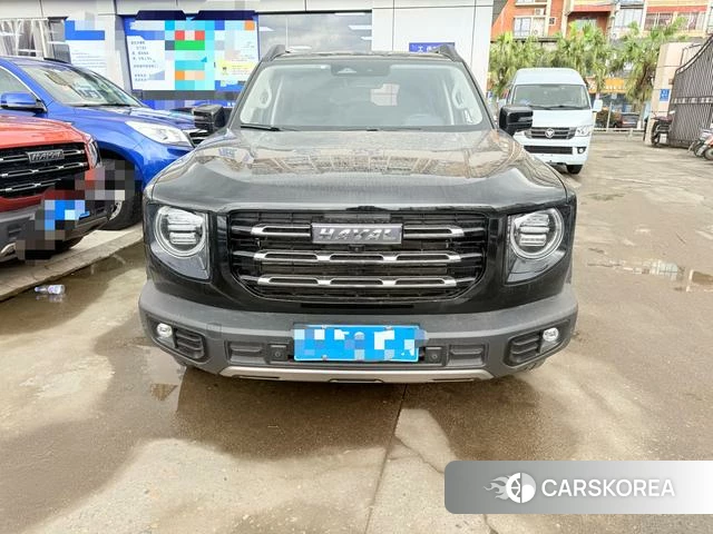 Haval Big dog id 3968824 из Китая 10