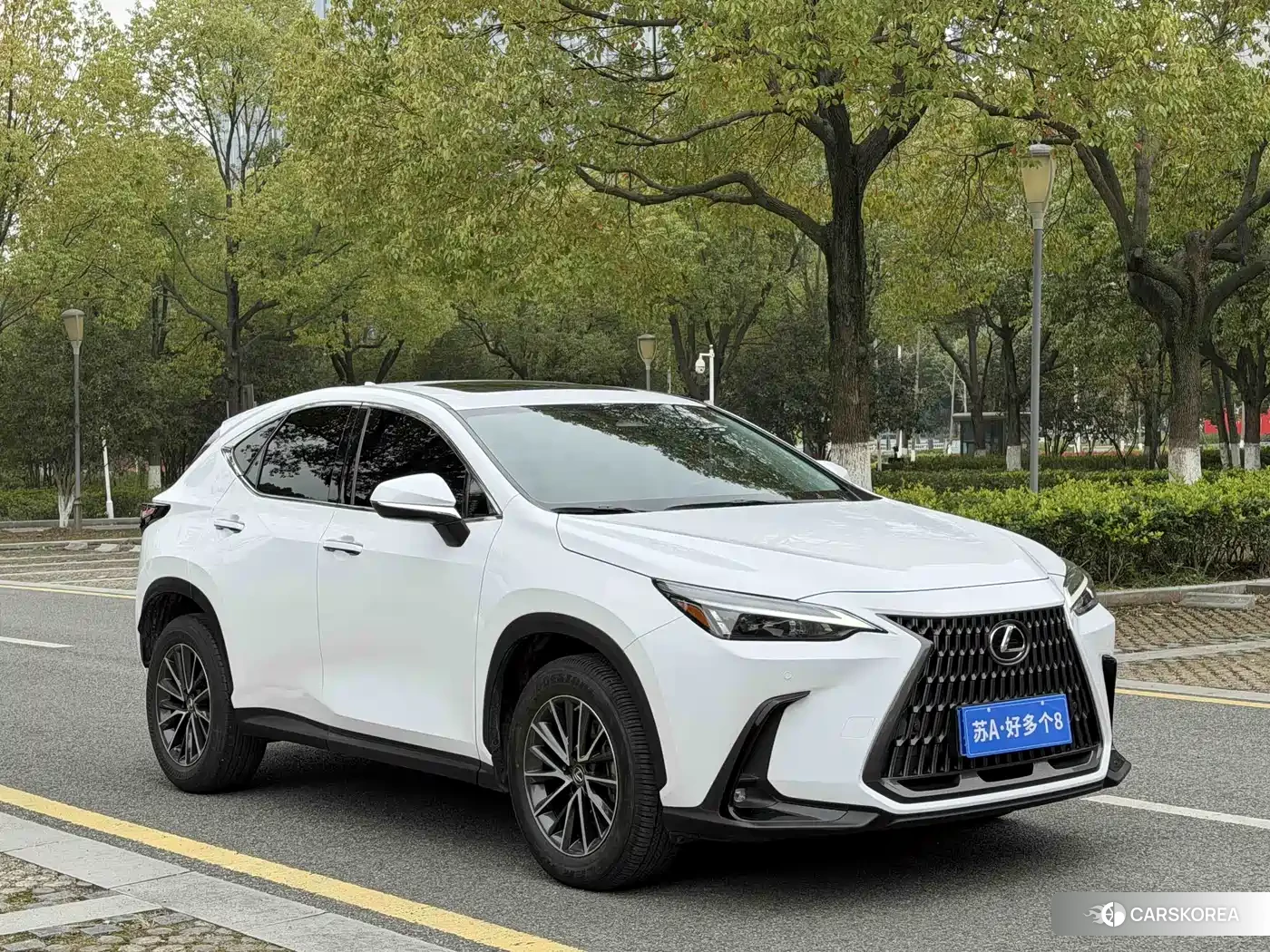 Lexus NX id 4622535 из Китая 17
