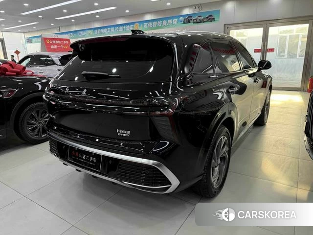 Red flag HS3 PHEV id 4207534 из Китая 9