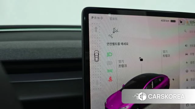 Tesla Model 3 id 4749267 из Кореи 31