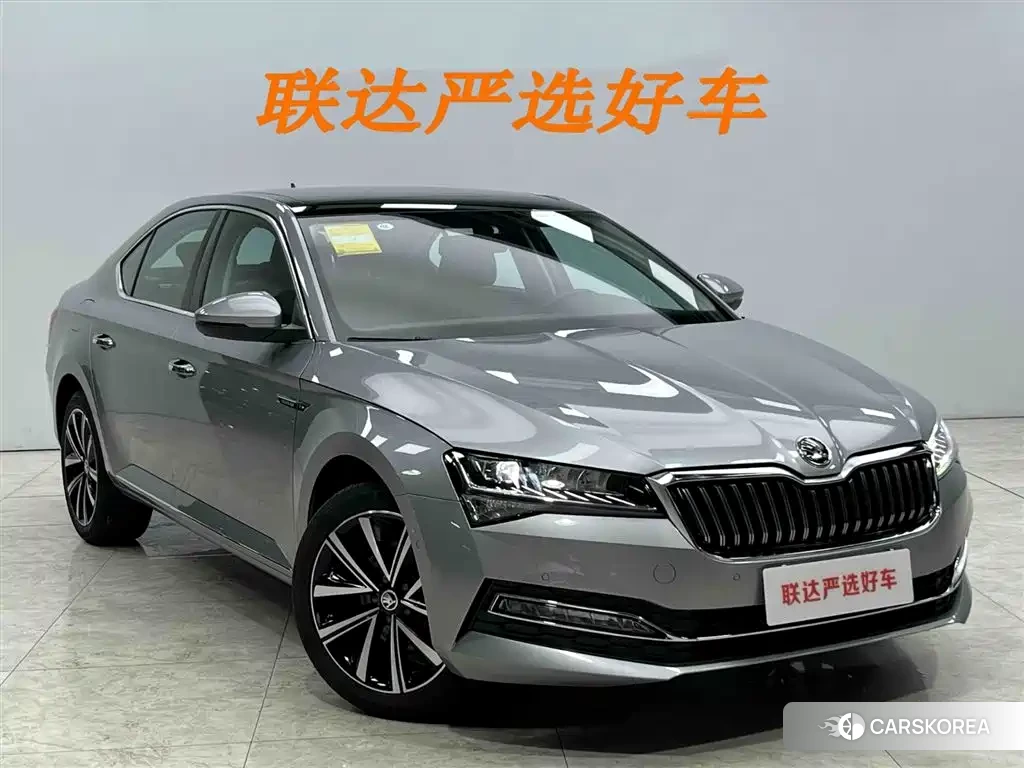 Skoda Speed pie id 4577562 из Китая 24