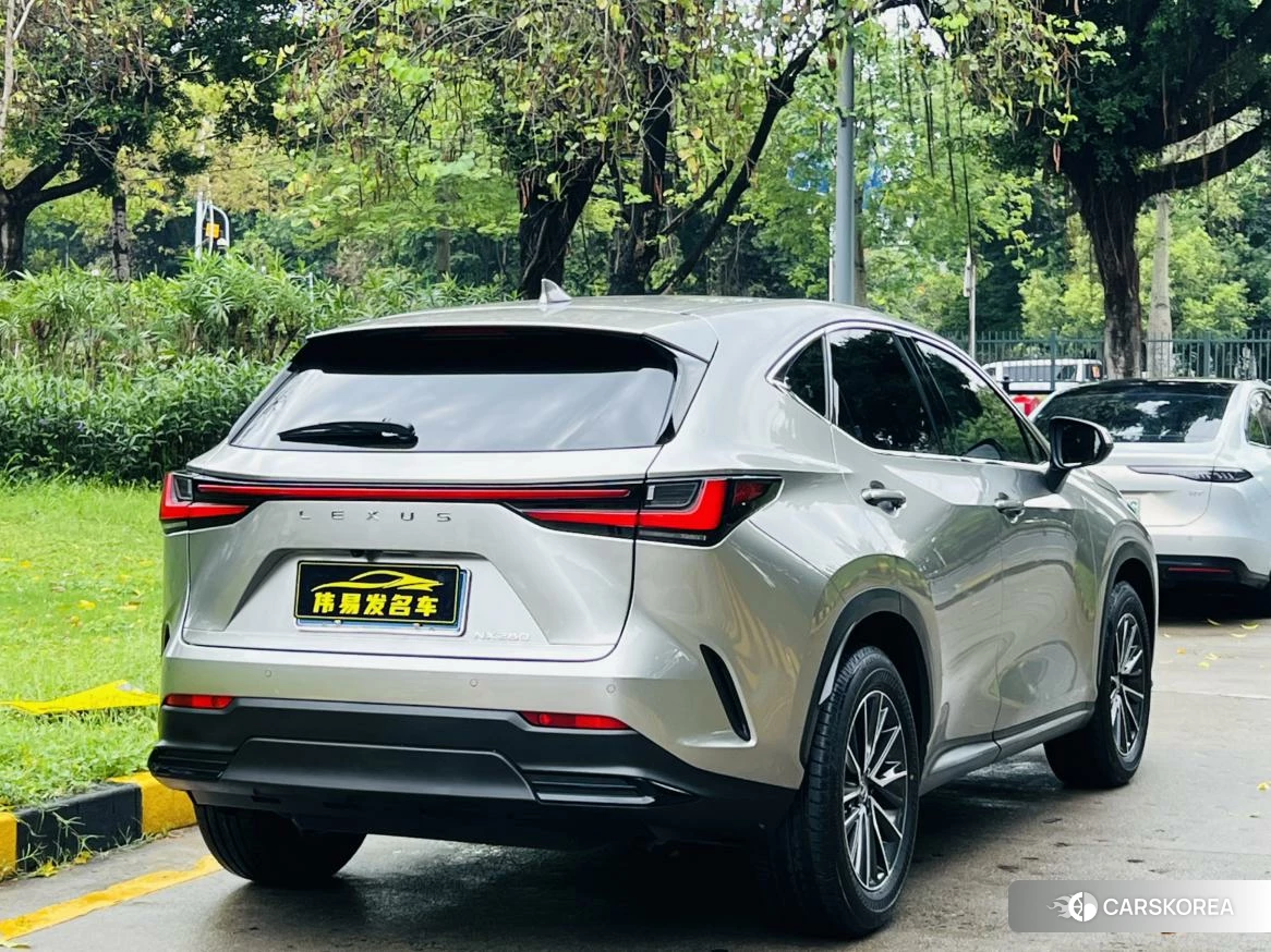 Lexus NX id 4432192 из Китая 20