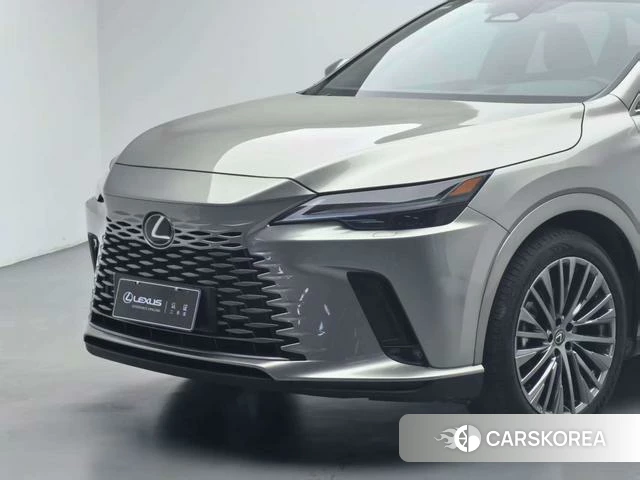 Lexus RX PHEV id 4222330 из Китая 14