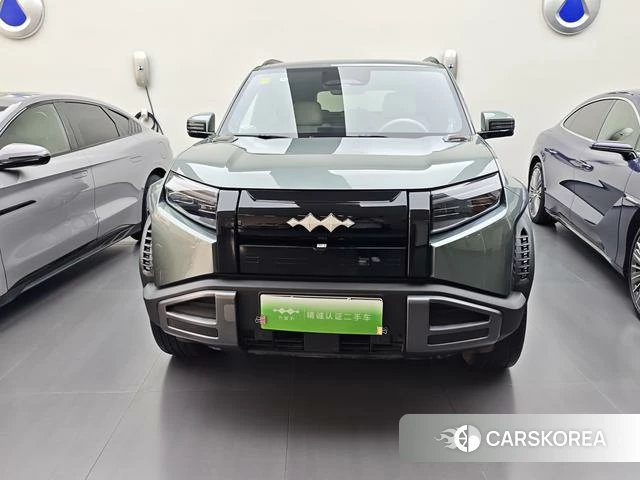 Leopard Titanium 3 id 4028222 из Китая 9