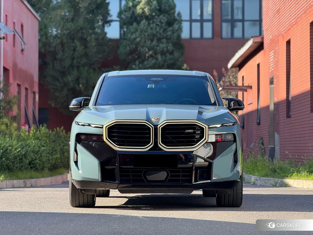 BMW XM id 4512684 из Китая 21