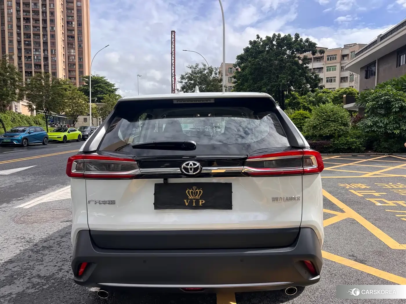 Toyota Wildlander id 4644519 из Китая 9