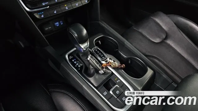 Hyundai Santa Fe TM id 2880979 из Кореи 19