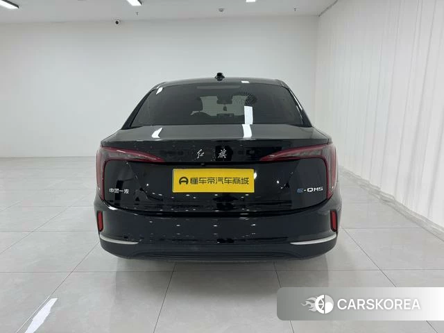 Red flag E-QM5 id 3926991 из Китая 19