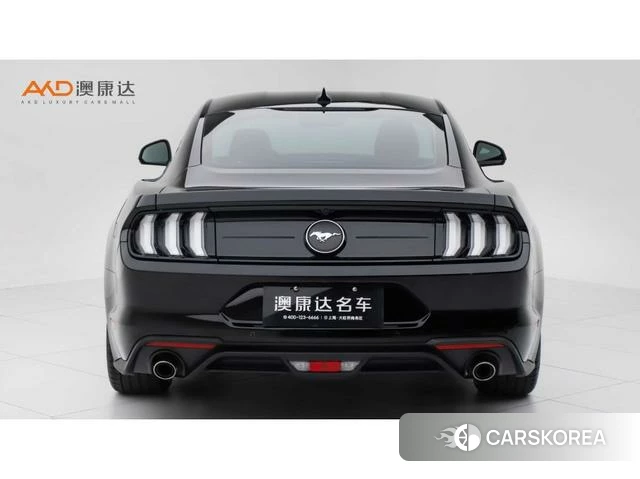 Ford Mustang id 4211032 из Китая 9