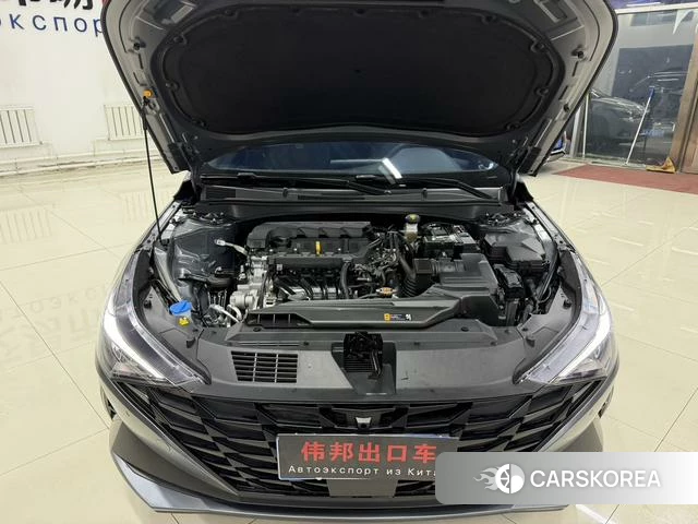 Hyundai Elantra id 4263450 из Китая 24
