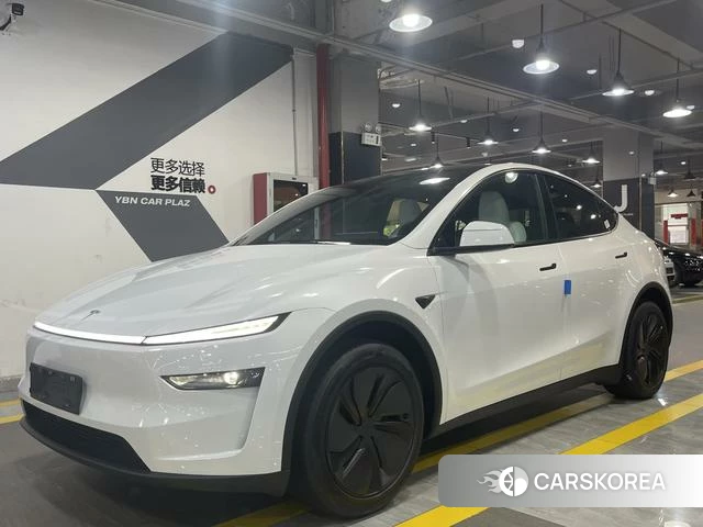 Tesla Model Y id 3920296 из Китая 12