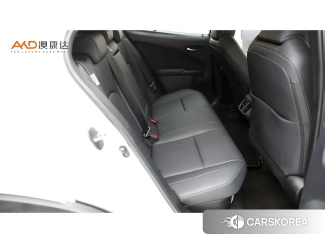 Lexus UX id 4314339 из Китая 9