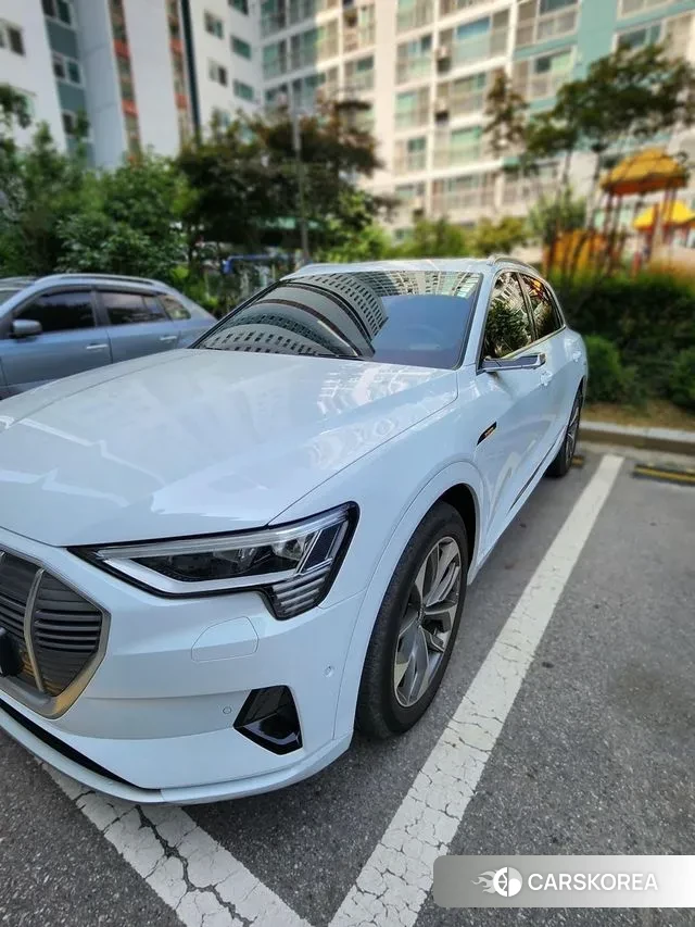 Audi e-Tron id 3630383 из Кореи 18