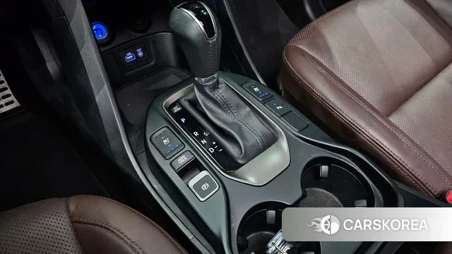 Hyundai Santa Fe The Prime id 3005070 из Кореи 19