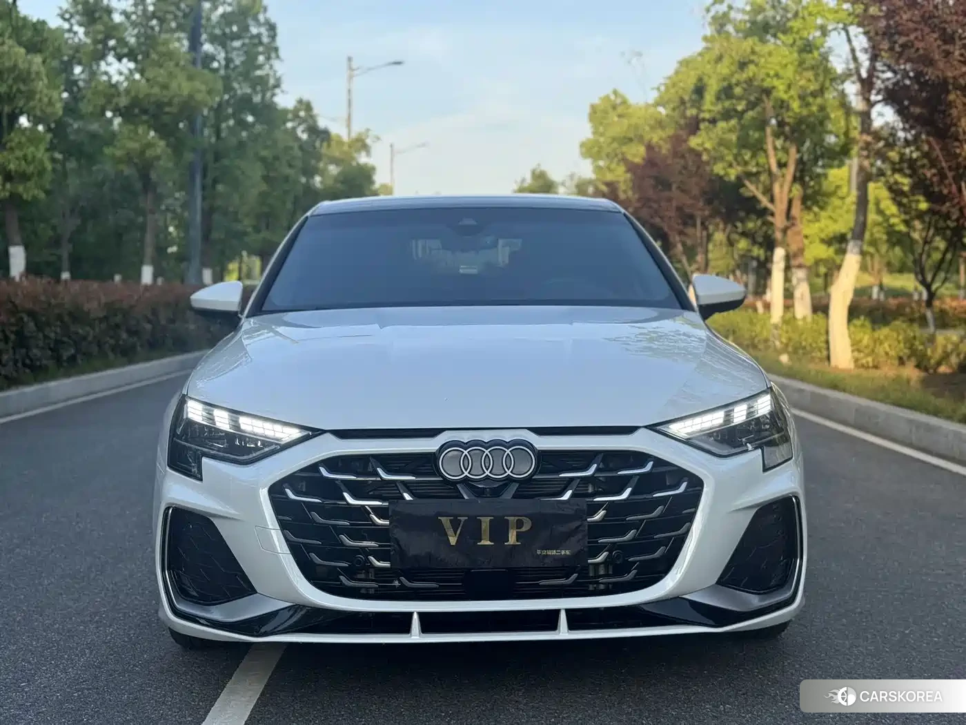 Audi A3 id 4685993 из Китая 9
