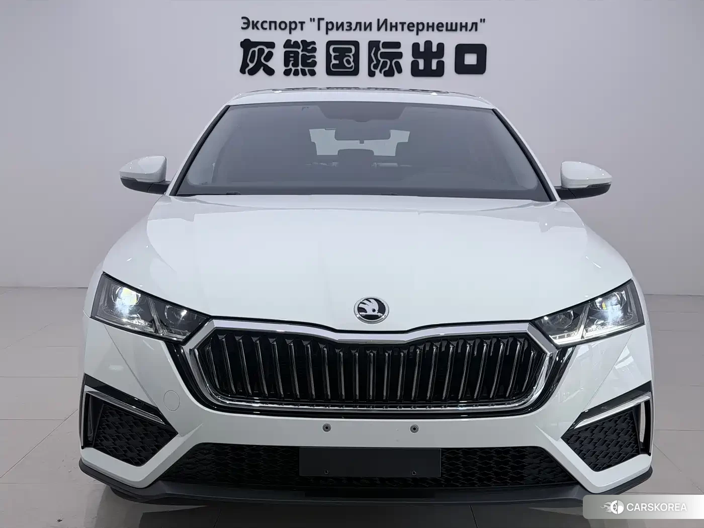 Skoda Octavia id 4578231 из Китая 18