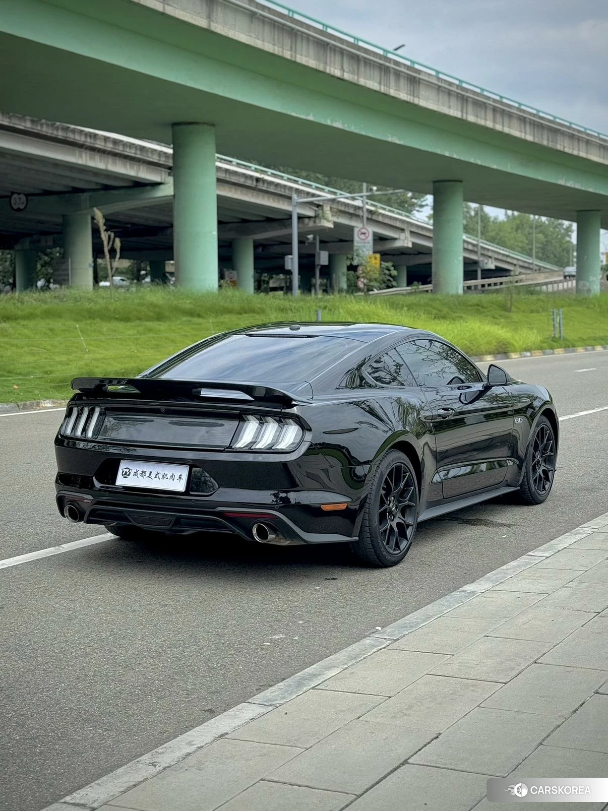 Ford Mustang id 4420458 из Китая 9