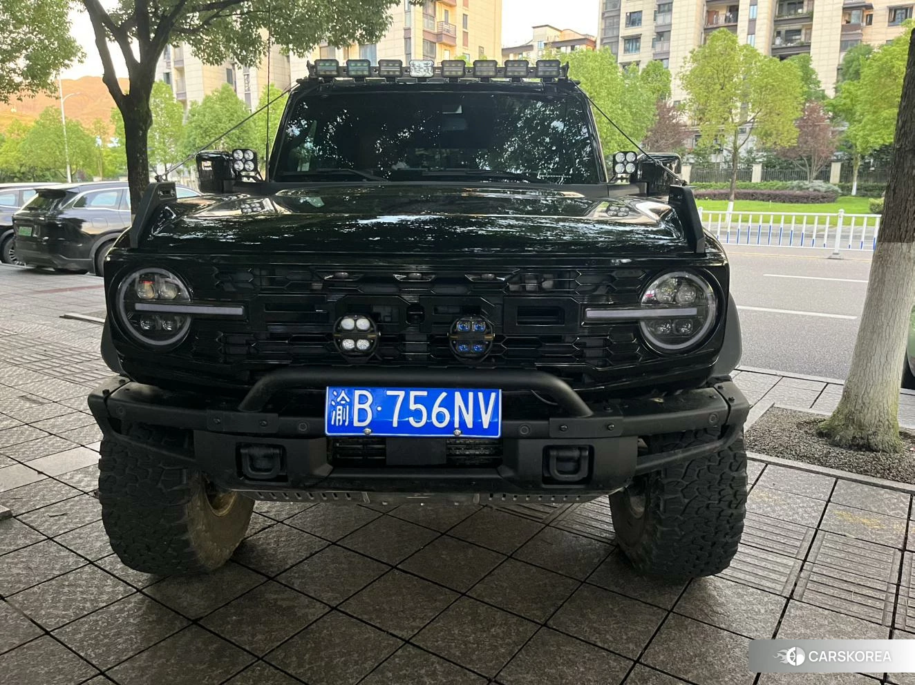 Ford Lie Ma id 4513892 из Китая 12