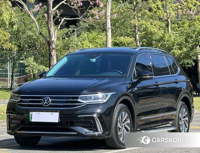Volkswagen Tiguan L PHEV id 4301360 из Китая 19