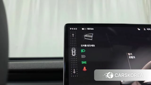 Tesla Model 3 id 4710752 из Кореи 29