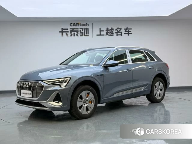 Audi e-tron id 4272349 из Китая 23