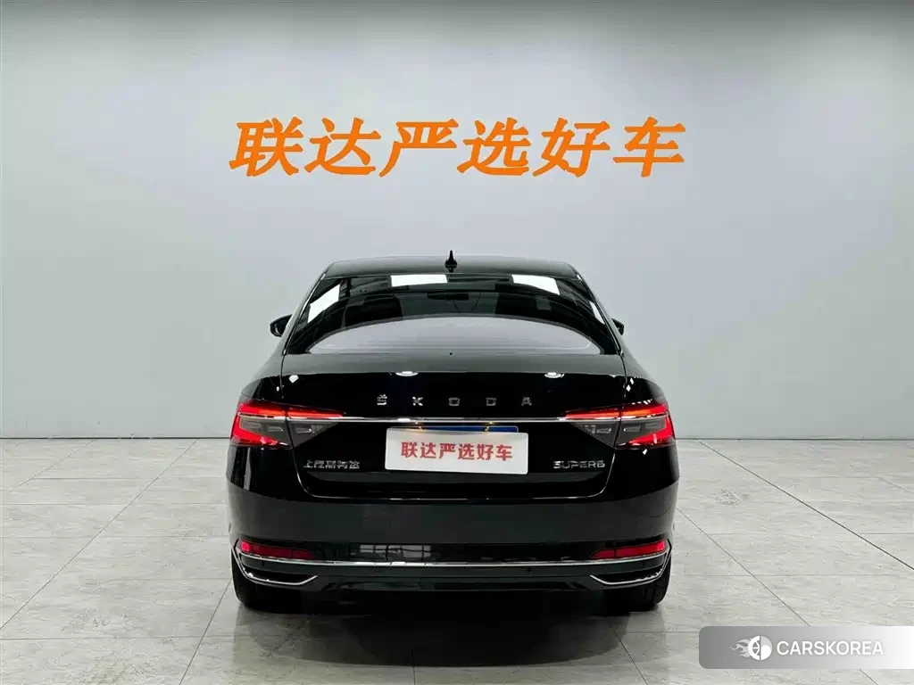 Skoda Speed pie id 4565175 из Китая 24