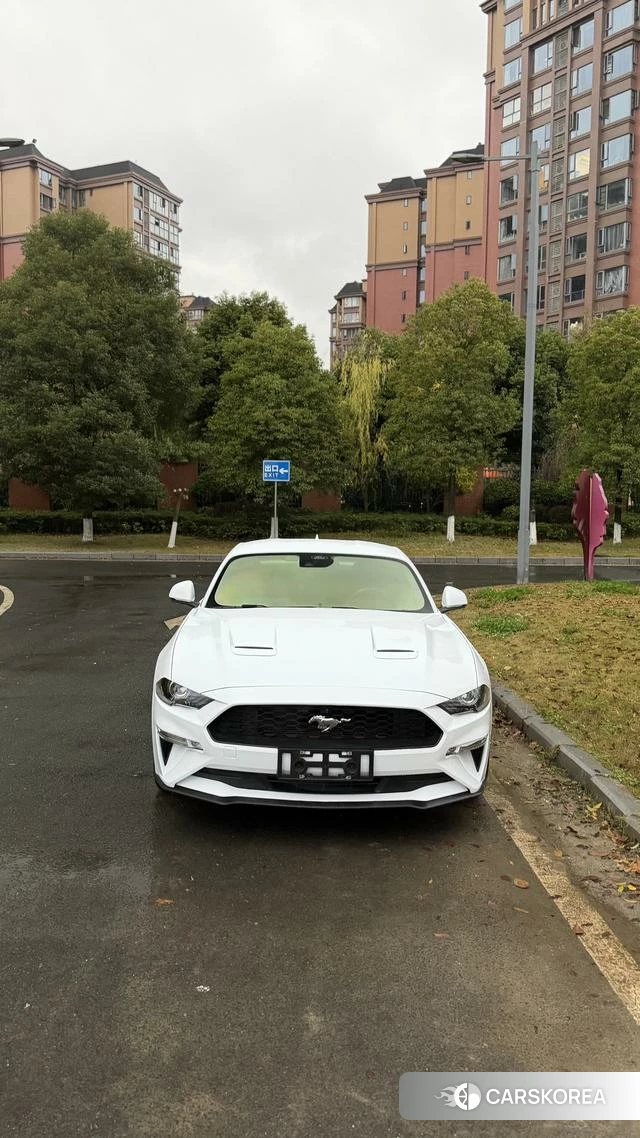 Ford Mustang id 4394172 из Китая 9