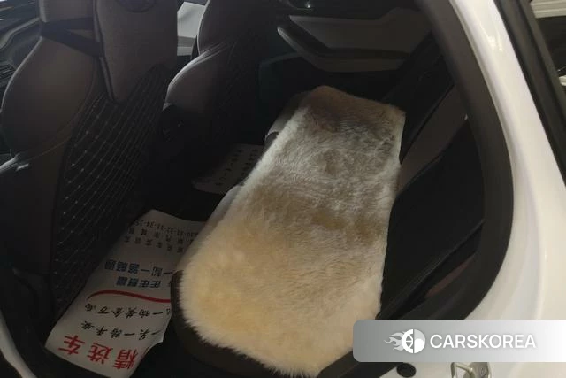 BYD Qin PLUS DM id 4236520 из Китая 16