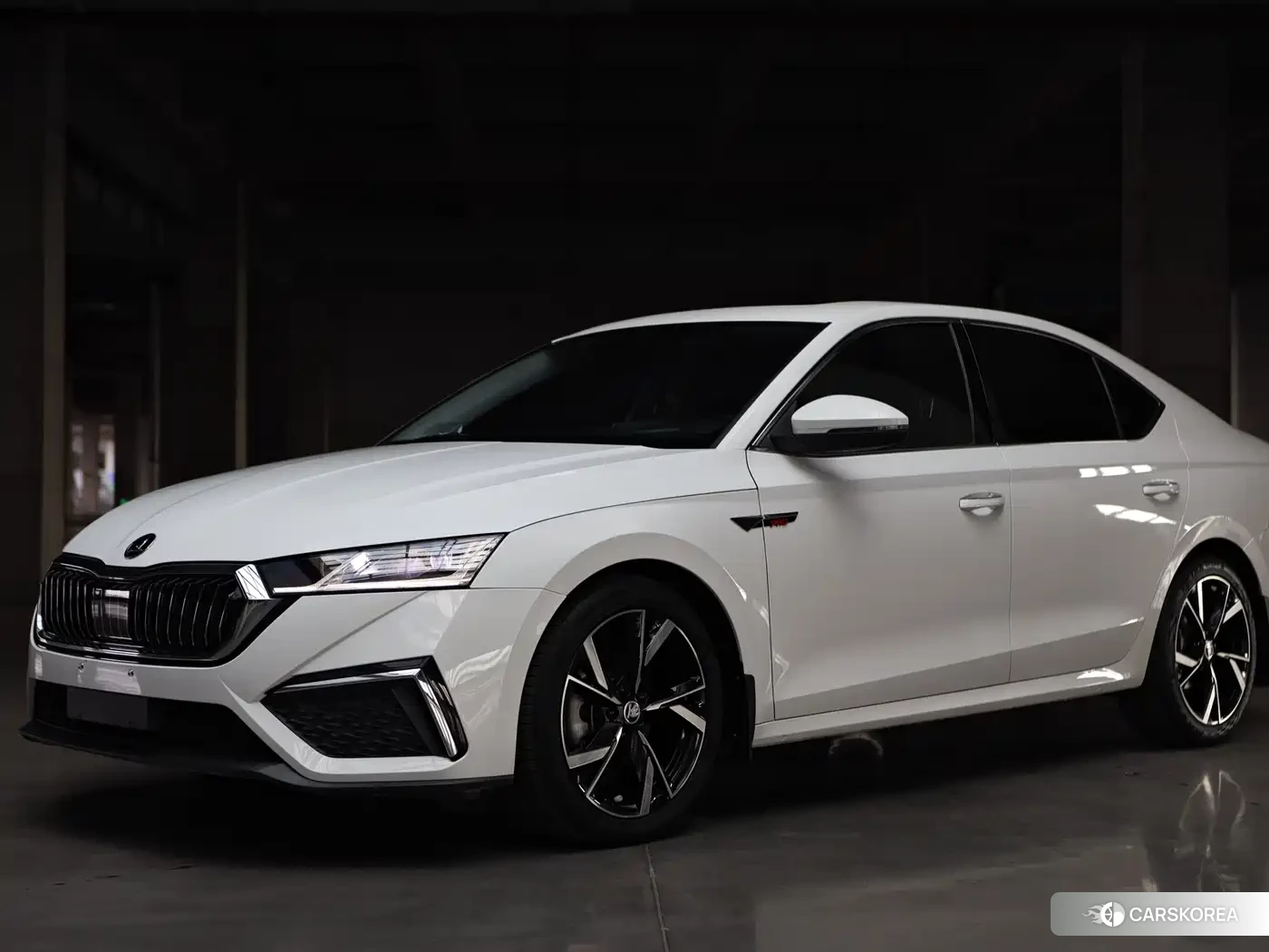 Skoda Octavia id 4589338 из Китая 23