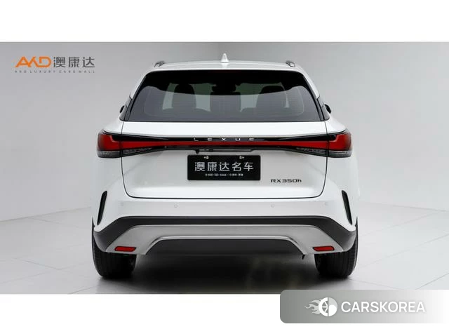 Lexus RX id 4262013 из Китая 9