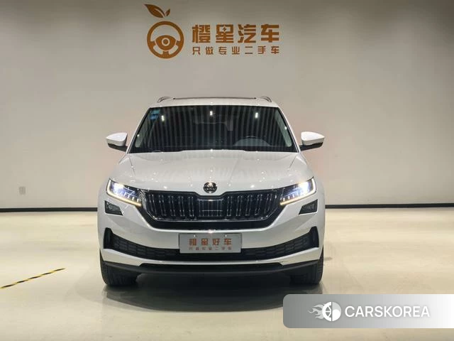 Skoda Kodiak GT id 4213880 из Китая 18