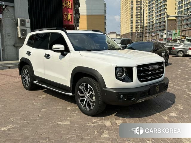 Haval Big dog id 3875942 из Китая 9