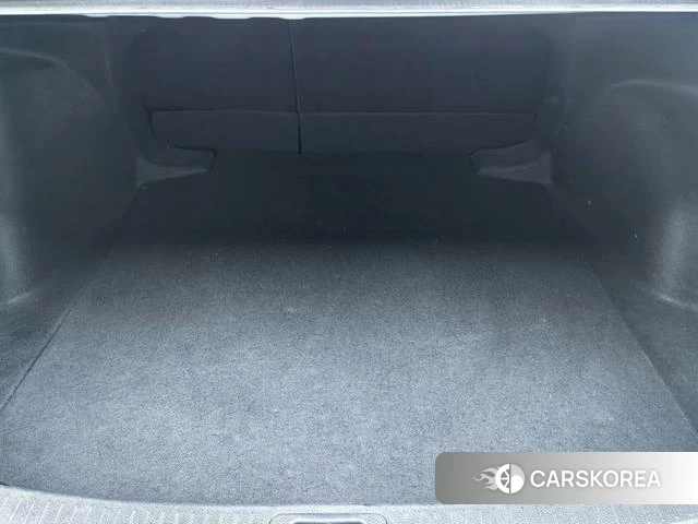 Toyota Asian lion id 4274425 из Китая 17