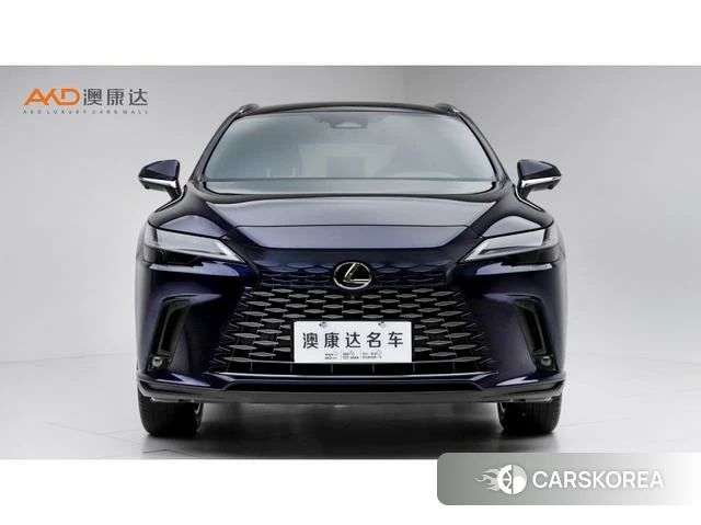 Lexus RX id 4279295 из Китая 9