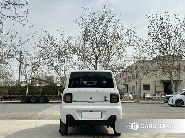 Geely Galaxy panda id 3857993 из Китая 9