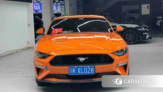 Ford Mustang id 4190527 из Китая 9