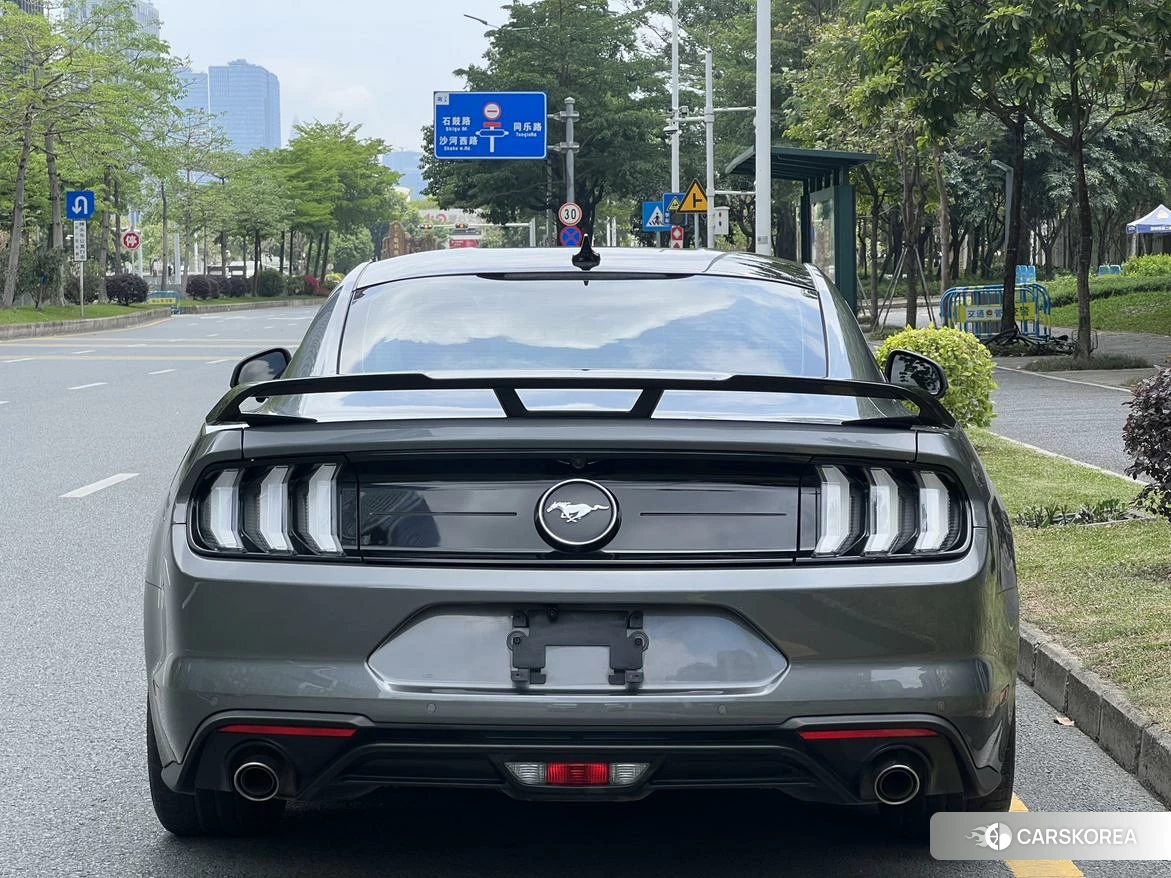 Ford Mustang id 4485530 из Китая 19