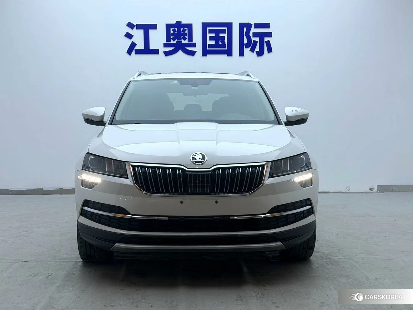 Skoda Krok id 4454321 из Китая 20