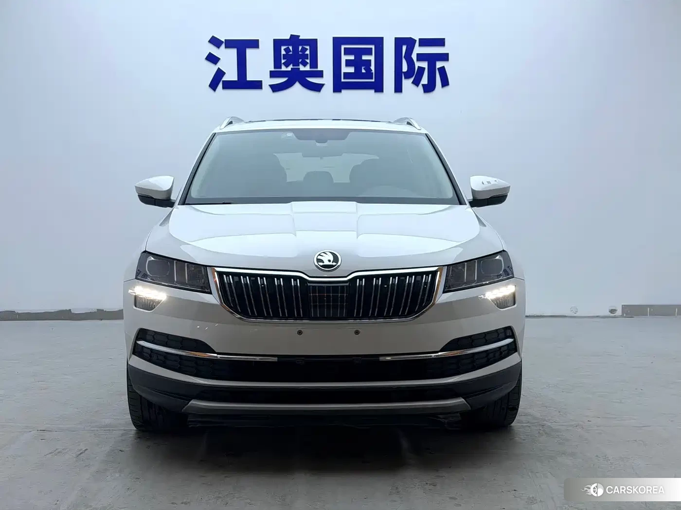 Skoda Krok id 4548151 из Китая 19